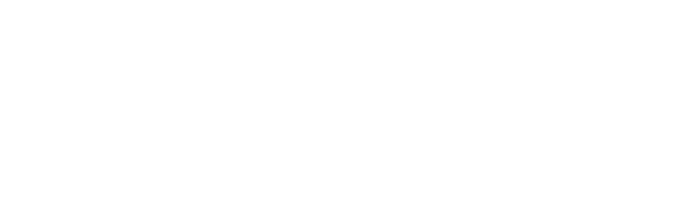 ZAZPI